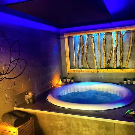 Apartment Vip Lounge Avec Jacuzzi Et Jardin *