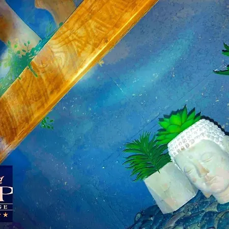 Vip Lounge Avec Jacuzzi Et Jardin * Andenne